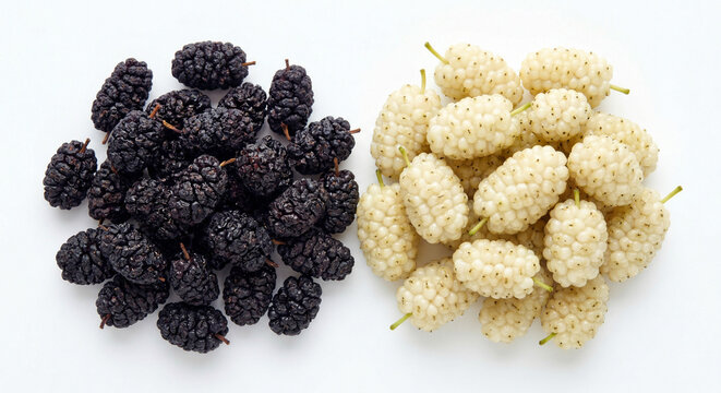 Close-up of dried black and white mulberries on white background