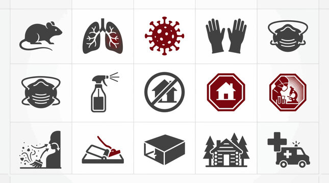 Hantavirus Prevention and Awareness Icon Set Vector Illustration
