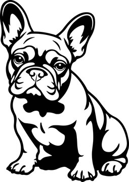 french bulldog svg, frenchie svg, french bulldog vector svg, cute frenchie svg, frenchie portrait svg