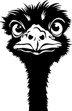 emu svgostrich svg, funny emu svg, funny ostrich svgbird face svg