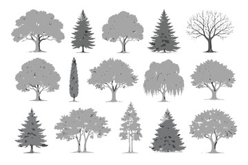 Fototapeta premium Comprehensive collection of diverse grey trees rendered in a detailed stippled style including various deciduous and coniferous shapes perfect for architectural landscaping and forest scenes.