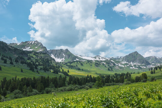 Mountain Landscape. Slope Of Mountain Range With Coniferous Forest