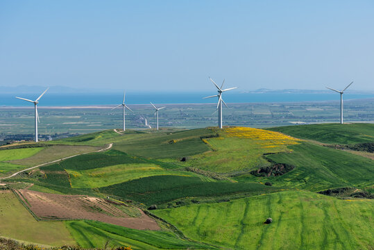 Wind turbines in the extrem north of tunisia