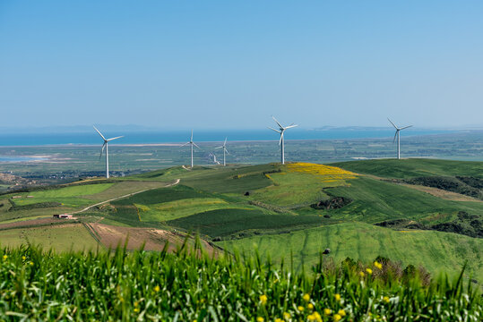 Wind turbines in the extrem north of tunisia