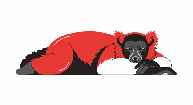 A red and black lemur with yellow eyes lies peacefully on a white surface