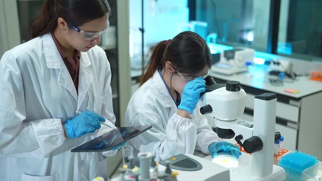 Asian female agronomist using pipette to apply liquid solution on leaf sample, agricultural biotechnology and gene editing concept.