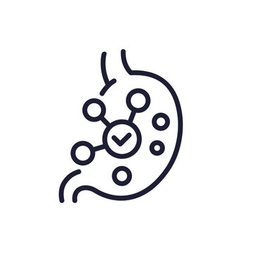 bioavailability line icon with stomach