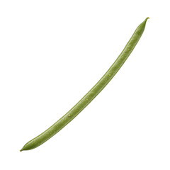 Fototapeta premium Vibrant single green bean pod, perfectly isolated on a crisp white background, highlighting its fresh and healthy natural appeal as a delicious garden vegetable ingredient