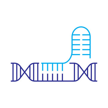 gene editing process illustration with crispr rna strand icon vector