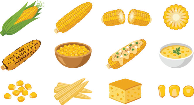 Fresh Sweet Corn and Maize Food Product Vector Set with Grilled Cob, Soup, Kernels, Cornbread, and Baby Corn for Agriculture or Culinary Graphic Designs