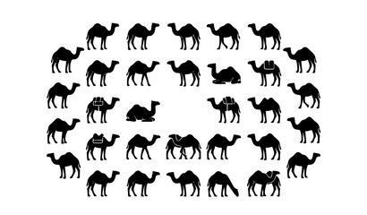 Fototapeta premium Camel Vector Set Desert Animal Silhouette Illustration Collection