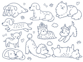 Obraz premium Hand drawn doodle set of various dog breeds including bulldog dachshund poodle chihuahua terrier and corgi resting and playing isolated on white background