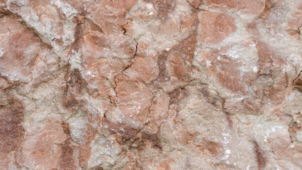 Obraz premium Beautifully textured rock surface featuring natural patterns and earthy tones in a tranquil outdoor setting