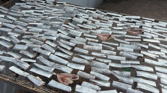 A large quantity of white fish, cut into rectangular pieces, are being dried on a metal rack outdoors. The scene showcases a traditional method of fish preservation, likely in a coastal region.