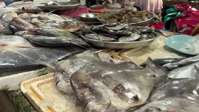 A vibrant close-up shot of a bustling fish market showcasing a diverse array of fresh fish and seafood displayed on ice. The video captures the raw beauty and abundance of the market&rsquo;s offerings.