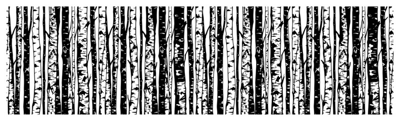 Birch tree forest trunks horizontal border pattern in black and white woodcut style © Camel