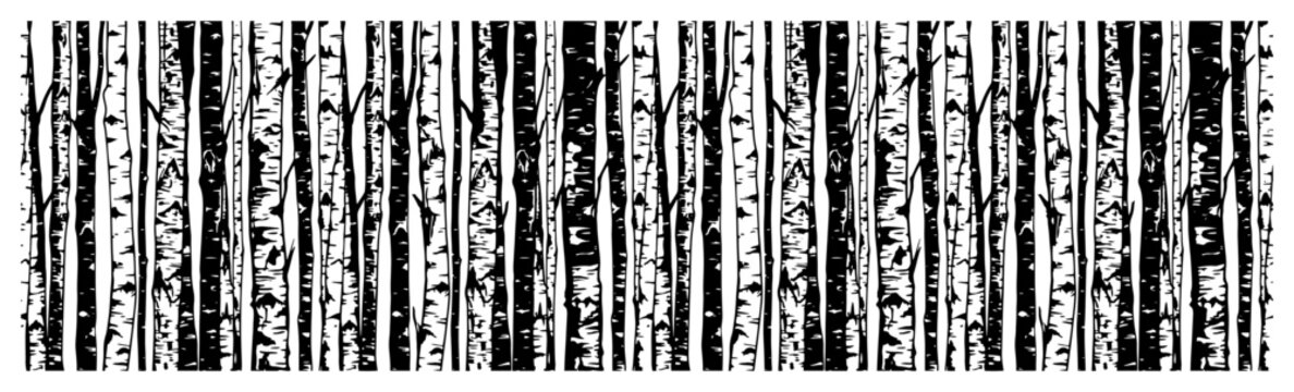 Birch tree forest trunks horizontal border pattern in black and white woodcut style