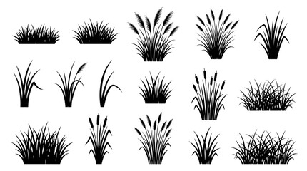 Decorative Grass and Reed Silhouette Collection with Natural Meadow Plant Elements for Landscape Garden and Nature Design Projects © MDSOBUJ