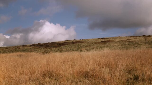 English moorland establishing shot in the Autumn season stock footage