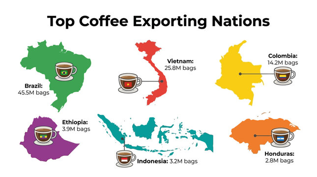 Top coffee exporting countries infographic global coffee production major coffee exporters