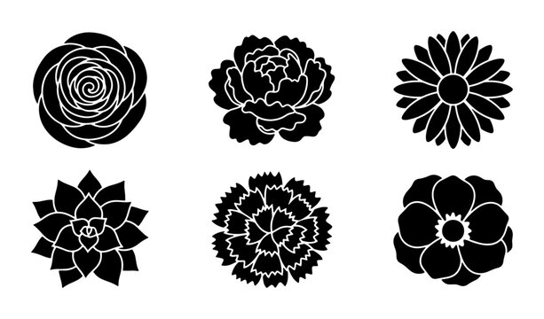 Set of 6 Black Floral Silhouettes, Vector Flower Icons for Design, Botanical Elements Collection