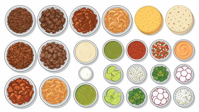 Set of Taco Ingredients Vector Illustration with Corn Tortillas, Ground Beef, Steak, Shredded Chicken, Salsas, Lime, Cilantro, Onion, and Radish in a Knolling Layout Isolated on White Background.