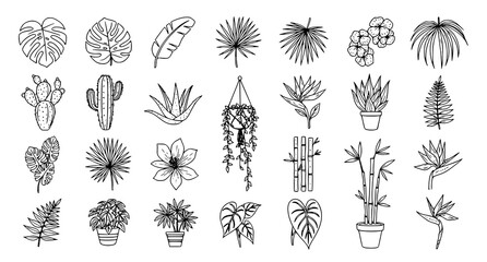 Hand Drawn Tropical Plant Line Icon Set with Botanical Leaves Jungle Foliage and Minimal Nature Elements © RUBINA