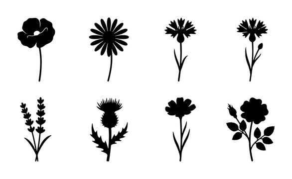 Botanical Silhouettes Collection: Wildflower Icons, Floral Elements, Garden Plant Graphics, Poppy, Thistle, Rose, Lavender