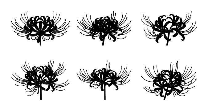 Six Black Lycoris Radiata Flower Illustrations, Spider Lily Vector Graphics, Elegant Botanical Line Art for Design