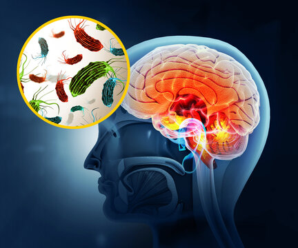 Visual concept of deadly brain-eating amoeba infection. 3d illustration