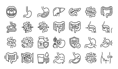 Fototapeta premium Digestive system icon bundle vector healthcare anatomy illustration