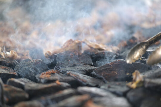 grilled chicken