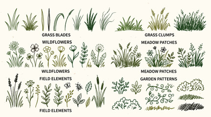 An illustration showcasing various types of grass and wildflowers in a garden setting with labeled sections for different plant elements. ,   vector illustration sets © PYARA