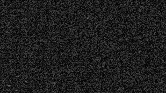 Television static noise overlay on black background loop