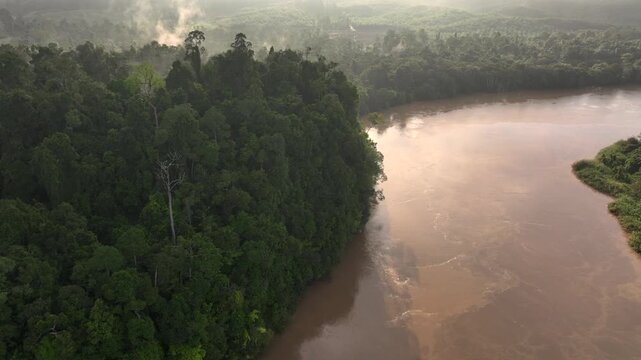 Aerial Shot of a Large Brown River, winding through a Tropical Rainforest. Kinabatangan River, Sabah, Borneo, Malaysia.
