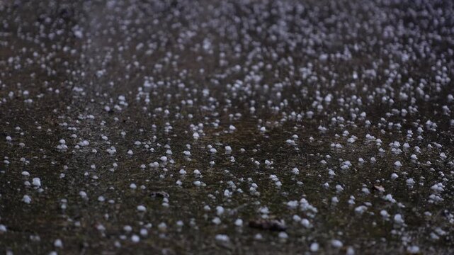 Close-up of hailstones falling and bouncing on a wet dark asphalt pavement during a severe storm