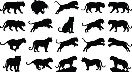 Obraz premium Black Panther Silhouettes, Wild Animal Icons, Vector Graphics, Wildlife Symbols, 20 Black Panther Shapes