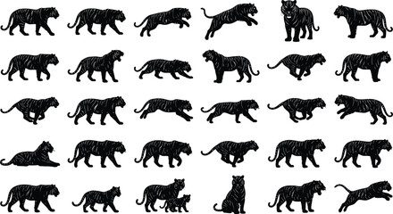 Obraz premium Black panther silhouettes, big cat icons, feline vector graphics, animal set