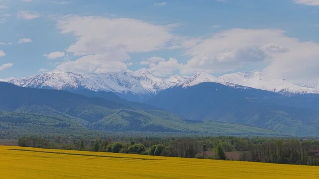 Vibrant yellow rapeseed field and majestic snow capped mountains in an idyllic countryside landscape, low altitude aerial lateral tracking shot 4K