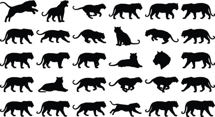 Fototapeta premium Black Panther Silhouettes, Leopard Icons, Wild Animal Graphics, Vector Set of 30