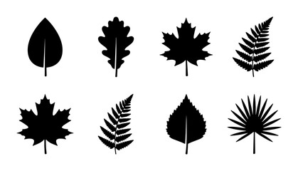 Set of 8 Black Silhouette Vector Leaves, Botanical Icons for Nature and Autumn Design Elements © Arman
