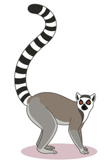 Ring-Tailed Lemur Standing - Animal Illustration Isolated on Transparent Background © Hari