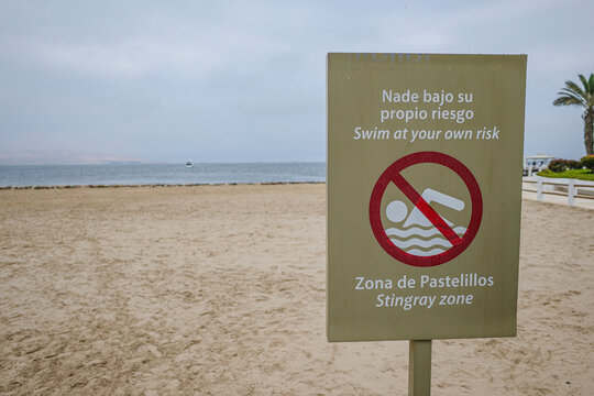 Paracas, Peru - 3 Dec 2025: Stingray and no swimming warning sign in the bay of Paracas, Peru