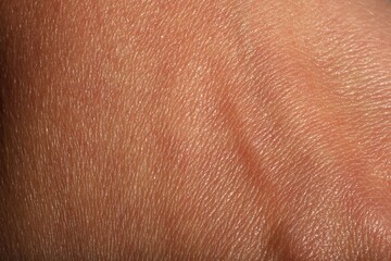Fototapeta premium Texture of normal skin as background, closeup