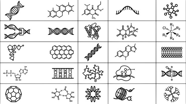 Molecule diagram icon set with chemical structures, bonds, rings, and labels for chemistry learning and research
