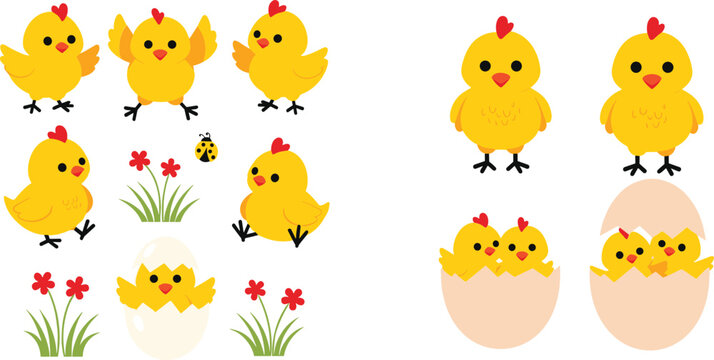 Cute baby chick cartoon vector illustration set featuring yellow chickens hatching from eggs and playful spring farm scenes in flat style isolated