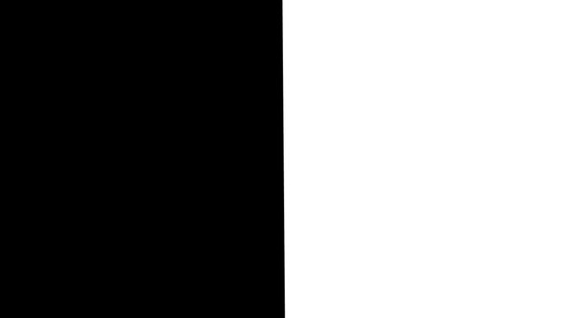 Abstract white and black background transition animation, dynamic digital graphic art, modern geometric motion.
