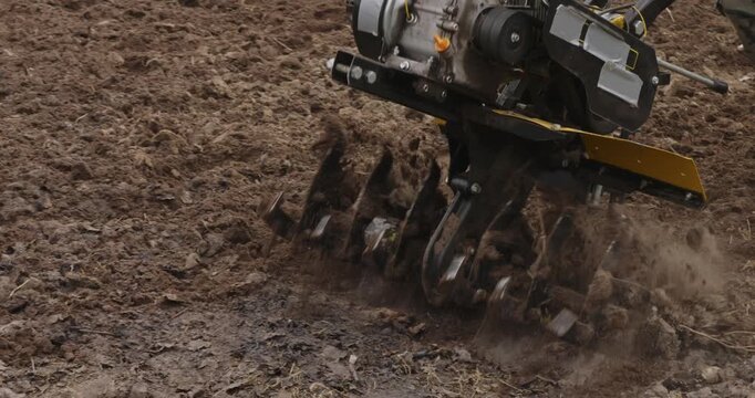 Close-up of a farmer cultivating the ground with a rototiller, preparing the agricultural soil for planting spring crops. The blades of the power tiller are digging and churning the dark earth.