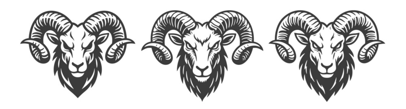 Aggressive ram heads set, monochrome vector illustration for sports team logo or mountain animal emblem