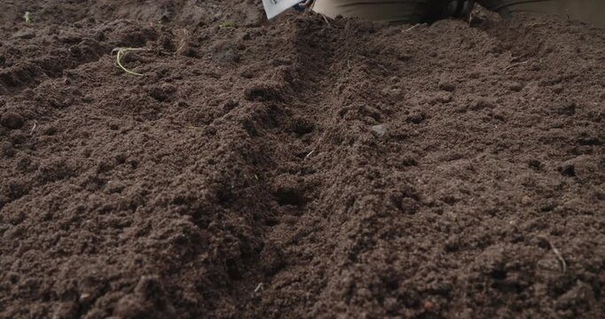 Close-up of a farmer's hand making a furrow in rich, dark soil and carefully sowing seeds from a packet into the prepared garden bed, representing new growth and sustainable agriculture.